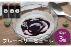 ブルーベリーピューレ 150g×3個 富山県 氷見市 ブルーベリー ソース フルーツ