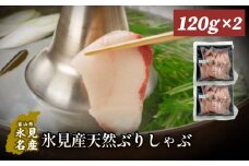 氷見漁港でとれた天然寒ぶりしゃぶ120g 2個 富山県 氷見市 鰤 しゃぶしゃぶ 冷凍 鍋