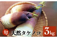 富山県産 旬の 天然 タケノコ 3kg 朝掘り 採れたて発送 ＜農薬・化学肥料・除草剤不使用＞ 