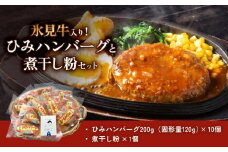 ひみハンバーグと煮干し粉のセット 富山県 氷見市 煮干 惣菜 調味料