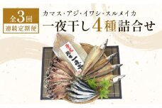 【連続3回】一夜干し4種詰合せ定期便《カマス・アジ・イワシ・スルメイカ》  