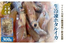 生冷凍ホタルイカ（凍眠） 300g 富山県 氷見市 ほたるいか しゃぶしゃぶ 冷凍
