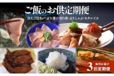 ＜3回定期便＞ご飯のお供定期便 富山県 氷見市 白エビぶり ほたるいか 冷凍 おかず