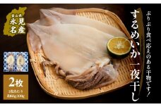 するめいか一夜干し 2枚 富山県 氷見市 イカ 干物