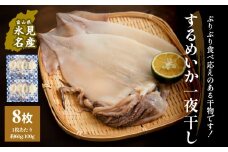 するめいか一夜干し 8枚 富山県 氷見市 イカ 干物