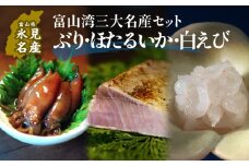 富山湾三大名産ぶり・ほたるいか・白えびのセット 富山県 氷見市 白エビぶり ほたるいか 冷凍 おかず