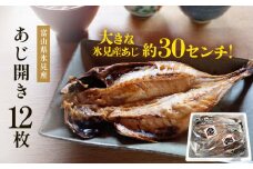 氷見産あじ開き 12枚 約30センチ！富山湾海の幸 〈冷凍〉