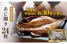 氷見産あじ開き 24枚 約30センチ！富山湾海の幸 〈冷凍〉