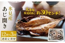 【連続3回定期便】【訳あり】あじの干物（約30cm）12枚  富山県 氷見市 アジ 魚 干物 開き