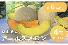 ＜先行予約＞アールスメロン  4個セット（赤肉・青肉） 計6kg以上 ＜2025年7月以降順次発送＞ 秀品 富山県 氷見市 メロン めろん 果物 くだもの フルーツ
