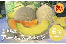 【訳あり】アールスメロン 6個セット（赤青おまかせ）  富山県 氷見市 メロン めろん 果物 くだもの フルーツ