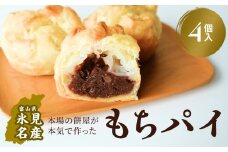 もちぱい　4個入　富山県 氷見市 餅 パイ お菓子 おやつ