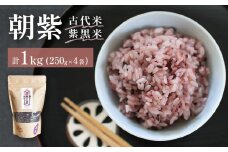 朝紫（古代米/ 紫黒米）250g×4（栽培期間中、農薬・化学肥料不使用）【こだわりの天日干し】 富山県 氷見市