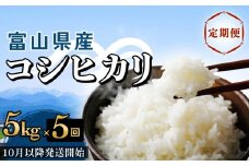 【5回定期便】富山県産 コシヒカリ 5kg ＜10月以降発送開始＞ 富山県 氷見市 米 コシヒカリ 定期便