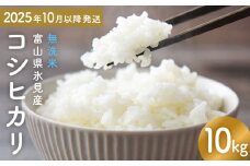 コシヒカリ 無洗米 10kg 富山県氷見産 ＜2025年10月以降発送＞ 富山県 氷見市 米 コシヒカリ