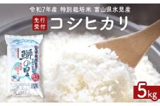 【先行受付】令和7年産 特別栽培米 富山県産コシヒカリ 5kg ＜9月中旬以降順次発送＞ 鰤の里 白米 精米 こしひかり 富山県 氷見市