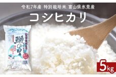 【先行受付】令和7年産 特別栽培米 富山県産コシヒカリ 5kg ＜2025年9月中旬以降順次発送＞ 鰤の里 白米 精米 こしひかり 富山県 氷見市