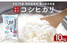 【先行受付】令和7年産 特別栽培米 富山県産コシヒカリ 10kg ＜9月中旬以降順次発送＞ 鰤の里 白米 精米 こしひかり 富山県 氷見市