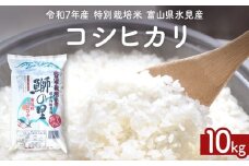 【先行受付】令和7年産 特別栽培米 富山県産コシヒカリ 10kg ＜2025年9月中旬以降順次発送＞ 鰤の里 白米 精米 こしひかり 富山県 氷見市