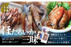 ほたるいか三昧 ホタルイカ イカ 漬け 素干し 富山県 氷見市 