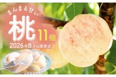 ＜先行受付＞富山県産 桃 11個 ＜2026年8月以降順次発送＞ もも 果物 産地直送 期間限定 富山県 氷見市