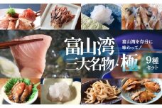 富山湾三大名物・極 鰤 ホタルイカ 白えび つめ合わせ ブリ ほたるいか 富山県 氷見市