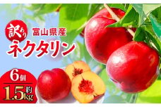 【訳あり】富山県産 ネクタリン 6個 （約1.5kg） 果物 フルーツ 富山県 氷見市