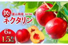 【先行予約】【訳あり】富山県産 ネクタリン 6個 （約1.5kg） 果物 フルーツ 富山県 氷見市