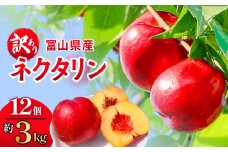 【訳あり】富山県産 ネクタリン 12個 （約3kg） 果物 フルーツ 富山県 氷見市