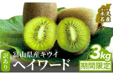 【先行予約】訳ありヘイワード3kg（小玉、異形、擦り傷、日焼け） 【2025年12月中旬以降順次発送】 数量限定 希少 国産 甘い 氷見キウイランド 富山県 氷見市