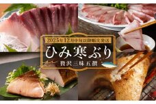 【先行予約】 ひみ寒ぶり贅沢三昧五撰【2025年12月中旬以降順次発送】 鰤 ブリ 詰め合わせ 冷凍 魚介 富山県 氷見市