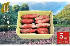 【先行予約】＜シルクスイート＞富山県産 さつまいも 5kg 【2025年12月以降順次発送】 富山県 氷見市 サツマイモ 自然豊か シルクスイート なめらか