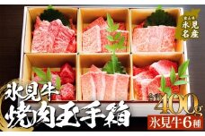 氷見牛焼肉玉手箱 牛肉 焼肉 BBQ アウトドア ロース カルビ 富山県 氷見市