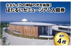 ほたるいかミュージアム入館券 / 4枚 