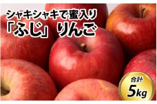 【先行予約】りんご 5kg【2025年11月中旬以降順次発送】エコファーマー認定 | 林檎 リンゴ 果物 フルーツ 甘い ふじ 蜜入り 5kg 5キロ