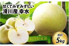 【先行予約】梨（幸水）5kg 11～14玉　※2025年8月下旬以降順次発送予定 / フルーツ 果物 くだもの なし 滑川市 新山果樹園