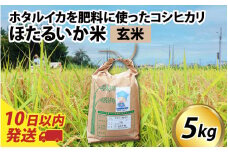 【訳あり】ほたるいか米（玄米５kg）【通年発送】 【訳あり 米 コシヒカリ こしひかり ほたるいか ホタルイカ お米 ブランド米 富山 滑川】