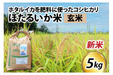 【先行予約】【新米】ほたるいか米（新米/玄米５kg）※25年9月中旬以降順次発送予定 【訳あり 米 コシヒカリ こしひかり ほたるいか ホタルイカ お米 ブランド米 富山 滑川】