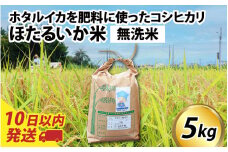 【訳あり】ほたるいか米（無洗米５kg）【通年発送】 【訳あり 米 コシヒカリ こしひかり ほたるいか ホタルイカ お米 ブランド米 富山 滑川】