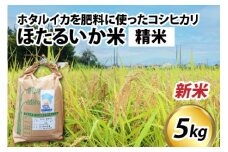 【先行予約】【新米】ほたるいか米（新米/精米５kg）※25年9月中旬以降順次発送予定 【訳あり 米 コシヒカリ こしひかり ほたるいか ホタルイカ お米 ブランド米 富山 滑川 令和7年産】