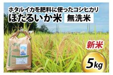 【先行予約】【新米】ほたるいか米（新米/無洗米５kg）※25年9月中旬以降順次発送予定 【訳あり 米 コシヒカリ こしひかり ほたるいか ホタルイカ お米 ブランド米 富山 滑川 令和7年産 】