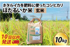 【訳あり】ほたるいか米（玄米10kg）【通年発送】 【訳あり 米 コシヒカリ こしひかり ほたるいか ホタルイカ お米 ブランド米 富山 滑川】