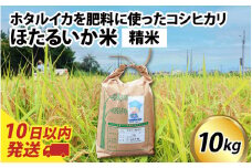 【訳あり】ほたるいか米（精米10kg）【通年発送】 【訳あり 米 コシヒカリ こしひかり ほたるいか ホタルイカ お米 ブランド米 富山 滑川】