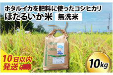 【訳あり】ほたるいか米（無洗米10kg）【通年発送】 【訳あり 米 コシヒカリ こしひかり ほたるいか ホタルイカ お米 ブランド米 富山 滑川】