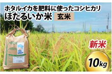 【先行予約】【新米】ほたるいか米（新米/玄米10kg）※25年9月中旬以降順次発送予定 【訳あり 米 コシヒカリ こしひかり ほたるいか ホタルイカ お米 ブランド米 富山 滑川 令和7年産 】