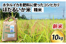 【先行予約】【新米】ほたるいか米（新米/精米10kg）※25年9月中旬以降順次発送予定 【訳あり 米 コシヒカリ こしひかり ほたるいか ホタルイカ お米 ブランド米 富山 滑川 令和7年産 】