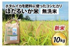 【先行予約】【新米】ほたるいか米（新米/無洗米10kg）※25年9月中旬以降順次発送予定 【 訳あり 米 コシヒカリ こしひかり ほたるいか ホタルイカ お米 ブランド米 富山 滑川 新米 無洗米 むせんまい  令和7年 10キロ コメ 精米 ワケあり 】