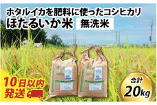 【訳あり】ほたるいか米（無洗米20kg）【通年発送】 【訳あり 米 コシヒカリ こしひかり ほたるいか ホタルイカ お米 ブランド米 富山 滑川 】