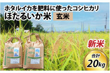 【先行予約】【新米】ほたるいか米（新米/玄米20kg）25年10月以降順次配送予定 【訳あり 米 コシヒカリ こしひかり ほたるいか ホタルイカ お米 ブランド米 富山 滑川 令和7年産 】