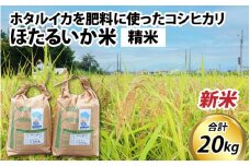 【先行予約】【新米】ほたるいか米（新米/精米20kg）※25年9月中旬以降順次発送予定 【訳あり 米 コシヒカリ こしひかり ほたるいか ホタルイカ お米 ブランド米 富山 滑川】